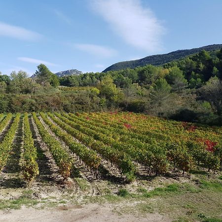 Les Tuileries De Lencieux Διαμέρισμα Gigondas Εξωτερικό φωτογραφία