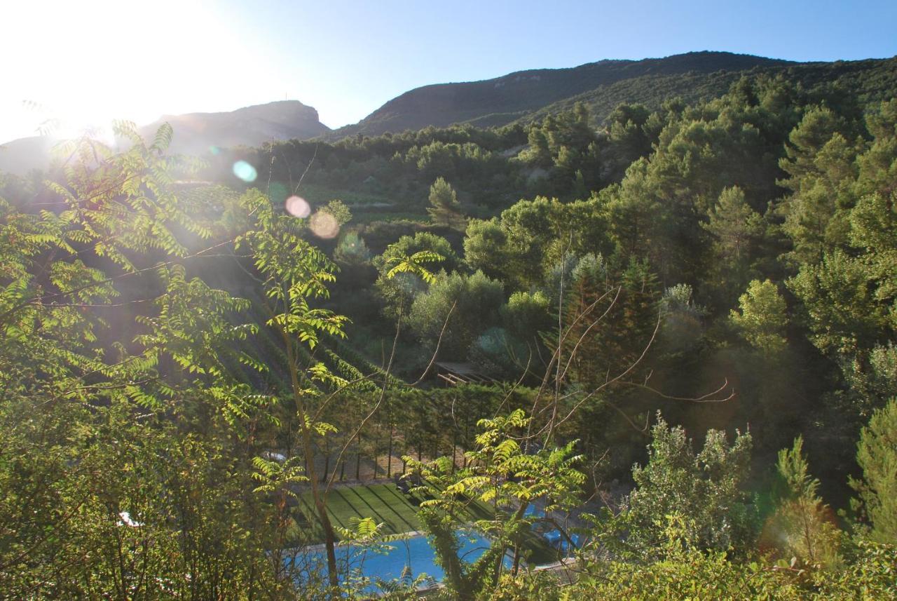 Les Tuileries De Lencieux Διαμέρισμα Gigondas Εξωτερικό φωτογραφία