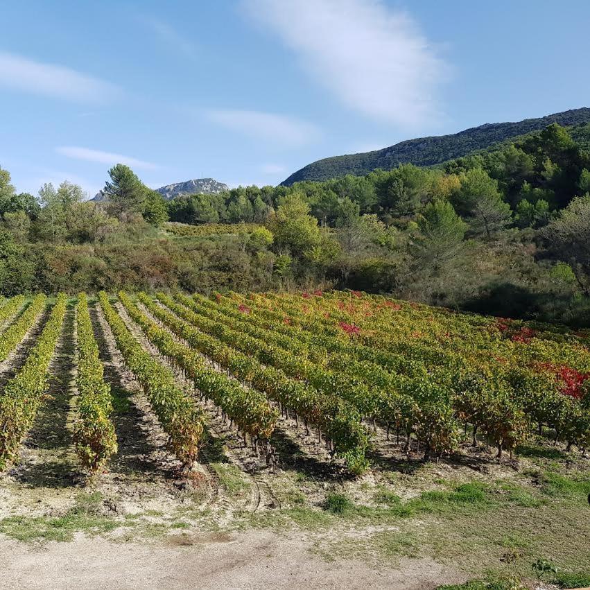 Les Tuileries De Lencieux Διαμέρισμα Gigondas Εξωτερικό φωτογραφία