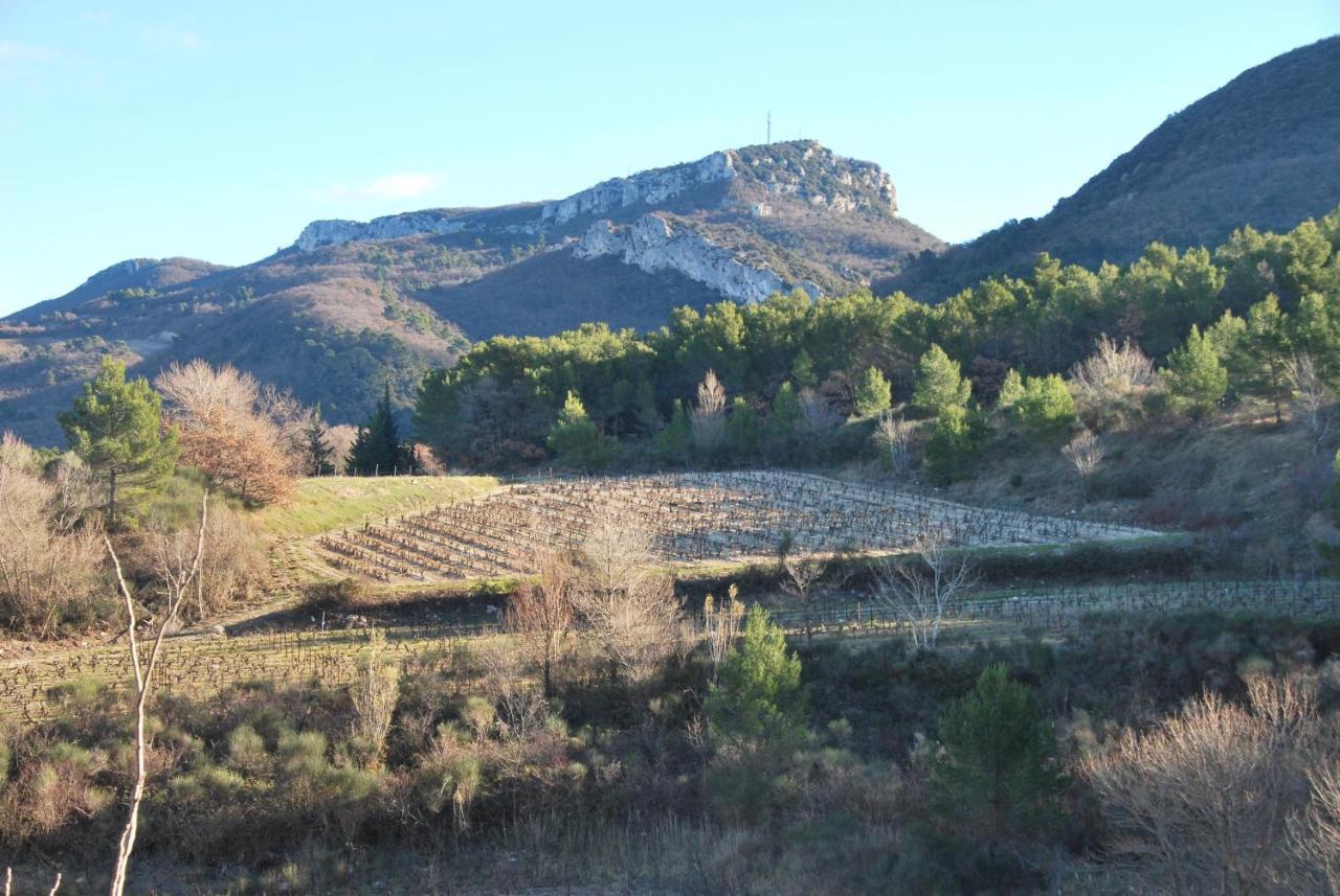 Les Tuileries De Lencieux Διαμέρισμα Gigondas Εξωτερικό φωτογραφία